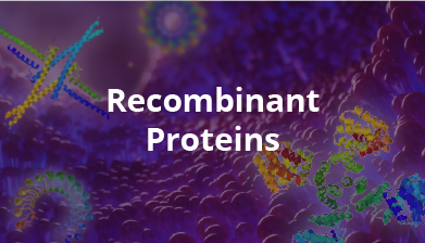 Recombinant Proteins
