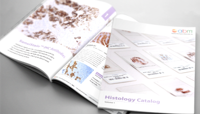 Histology Catalog (2019)