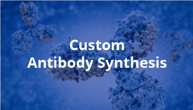 Custom Antibody Services