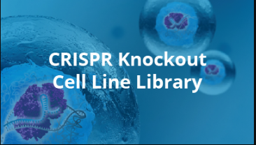 CRISPR Knockout Cell Line Library